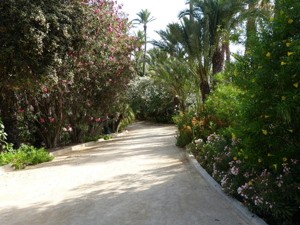 Very Best Flat Ust 800M Postiguet-Beach Alicante Buitenkant foto